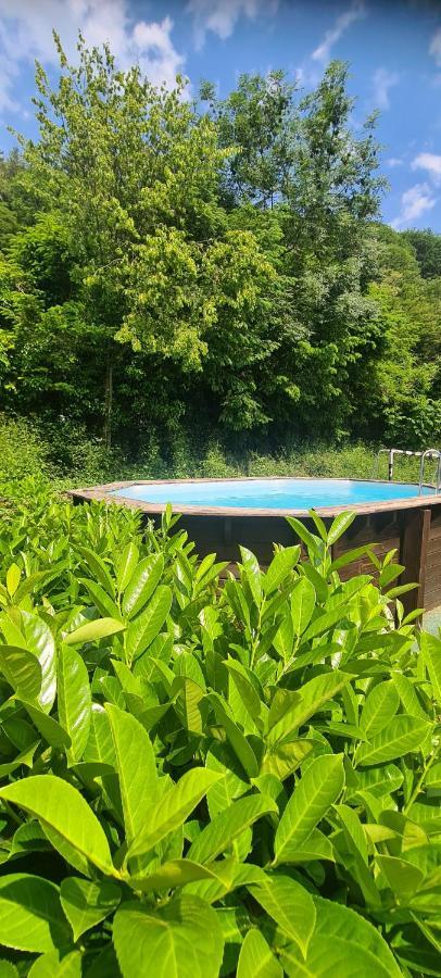 Maison Piscine Villa Saint-Amarin Ngoại thất bức ảnh