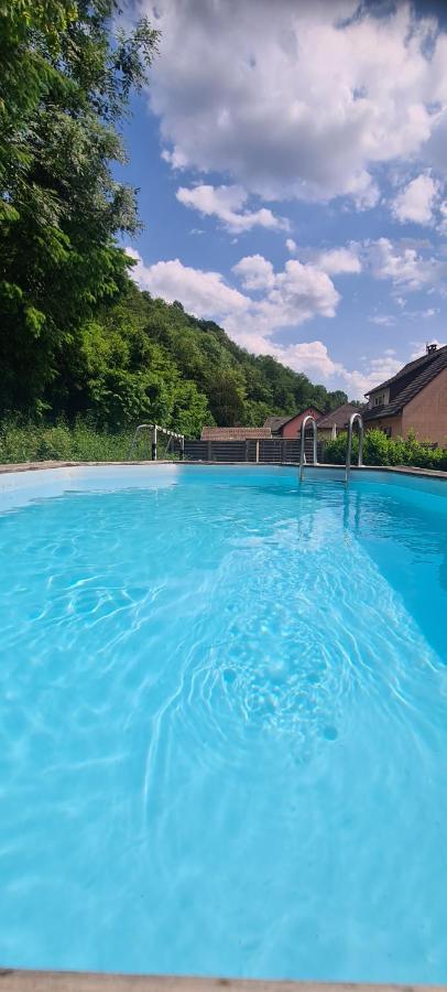 Maison Piscine Villa Saint-Amarin Ngoại thất bức ảnh