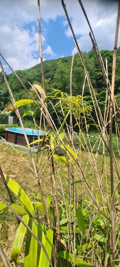 Maison Piscine Villa Saint-Amarin Ngoại thất bức ảnh