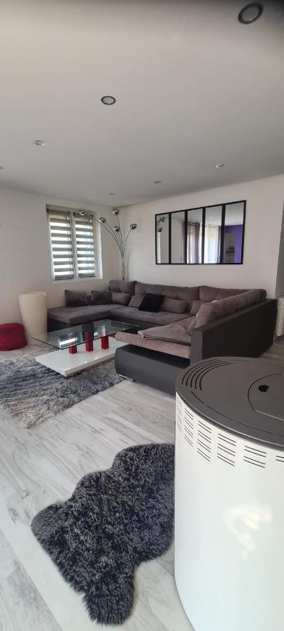 Maison Piscine Villa Saint-Amarin Ngoại thất bức ảnh