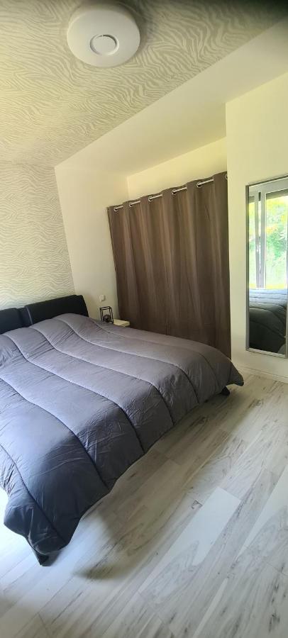 Maison Piscine Villa Saint-Amarin Ngoại thất bức ảnh