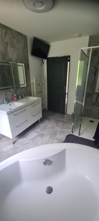 Maison Piscine Villa Saint-Amarin Ngoại thất bức ảnh