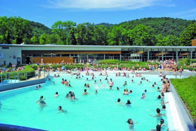 Maison Piscine Villa Saint-Amarin Ngoại thất bức ảnh
